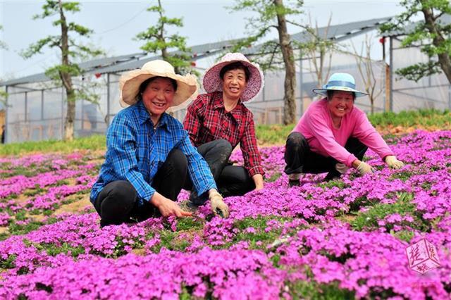 艳阳高照暖大地，阳春三用红花开 打一生肖|词语释义解释落实